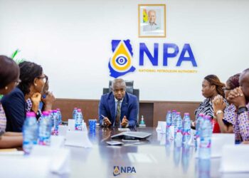 NPA CEO pledges to reset the petroleum sector