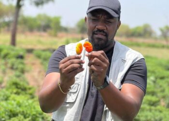 John Dumelo Nominated as Deputy Minister for Food and Agriculture