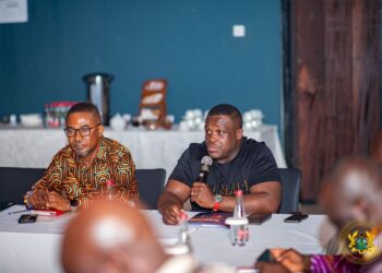 Ministry of Communications Engages Parliament on 2025 Plans, New Tech Laws Coming