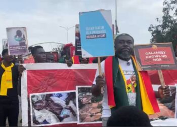 Convenor of the #FixTheCountry movement, Oliver Barker-Vormawor