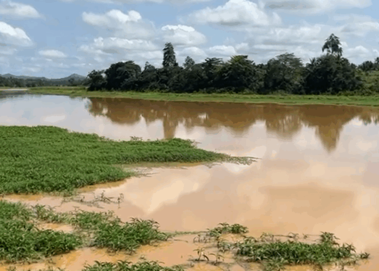 Galamsey:  water pollution dirty
